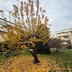Anadia Apartmán Monza
