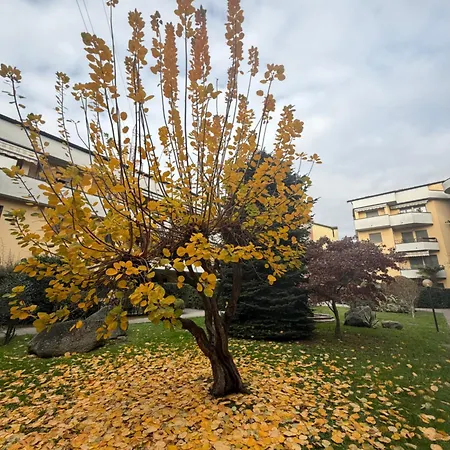 Anadia Apartamento Monza
