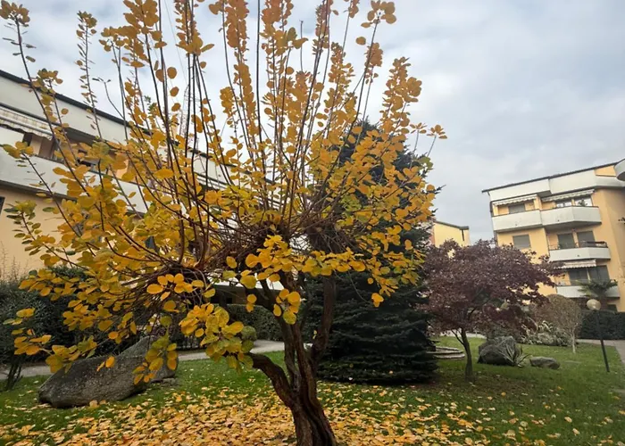 Anadìa Appartamento Monza